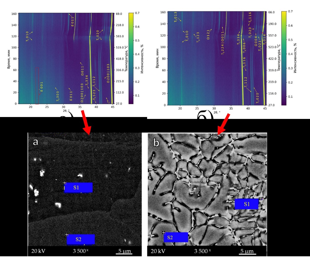 Общая картинка 1