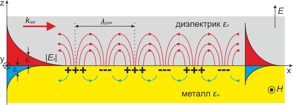 Схематическое изображение поверхностных плазмон поляритонов иллюстрация предоставлена О.Камешковым